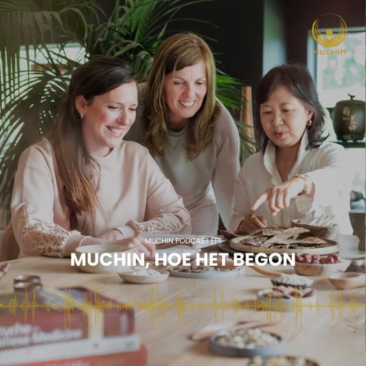 Muchin, hoe het begon