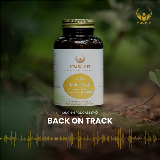 Back on Track