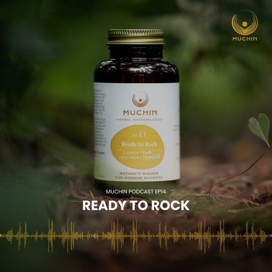 Ready to Rock