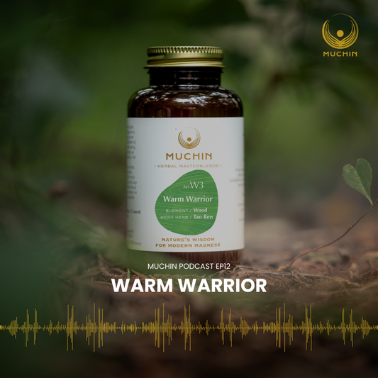 Warm Warrior