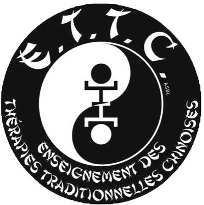 Cursus TCM Patroonherkenning · ETTC Namen · 12 februari 2027 (in het Frans)